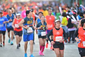 BIB: 009, 20148
                            <button type="button" onclick="openModal(12775259)" class="btn btn-primary btn-sm float-right btn-popup" data-toggle="modal" data-target=".modal-high-quality">
                        <i class="fas fa-shopping-cart"></i> Add to Cart
                    </button>
                                            <button type="button" onclick="isThisMe(12775259, true)" class="btn btn-success btn-sm float-right btn-popup btn-isme hidden" data-toggle="tooltip" data-placement="bottom" title="นี่คือรูปของคุณใช่ไหม คลิกที่นี่เพื่อเอาเข้าอัลบั้ม">
                        <i class="fas fa-plus"></i> Add to album
                    </button>
                    <button type="button" onclick="isThisMe(12775259, false)" class="btn btn-warning btn-sm float-right btn-popup btn-isnotme hidden">
                        <i class="fas fa-ban"></i> Remove from album
                    </button>